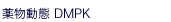 �򕨓���DMPK